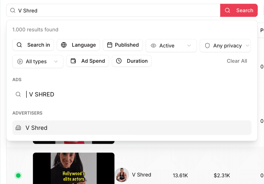 Advanced YouTube ad library and YouTube ad spy search inside the YTADS software