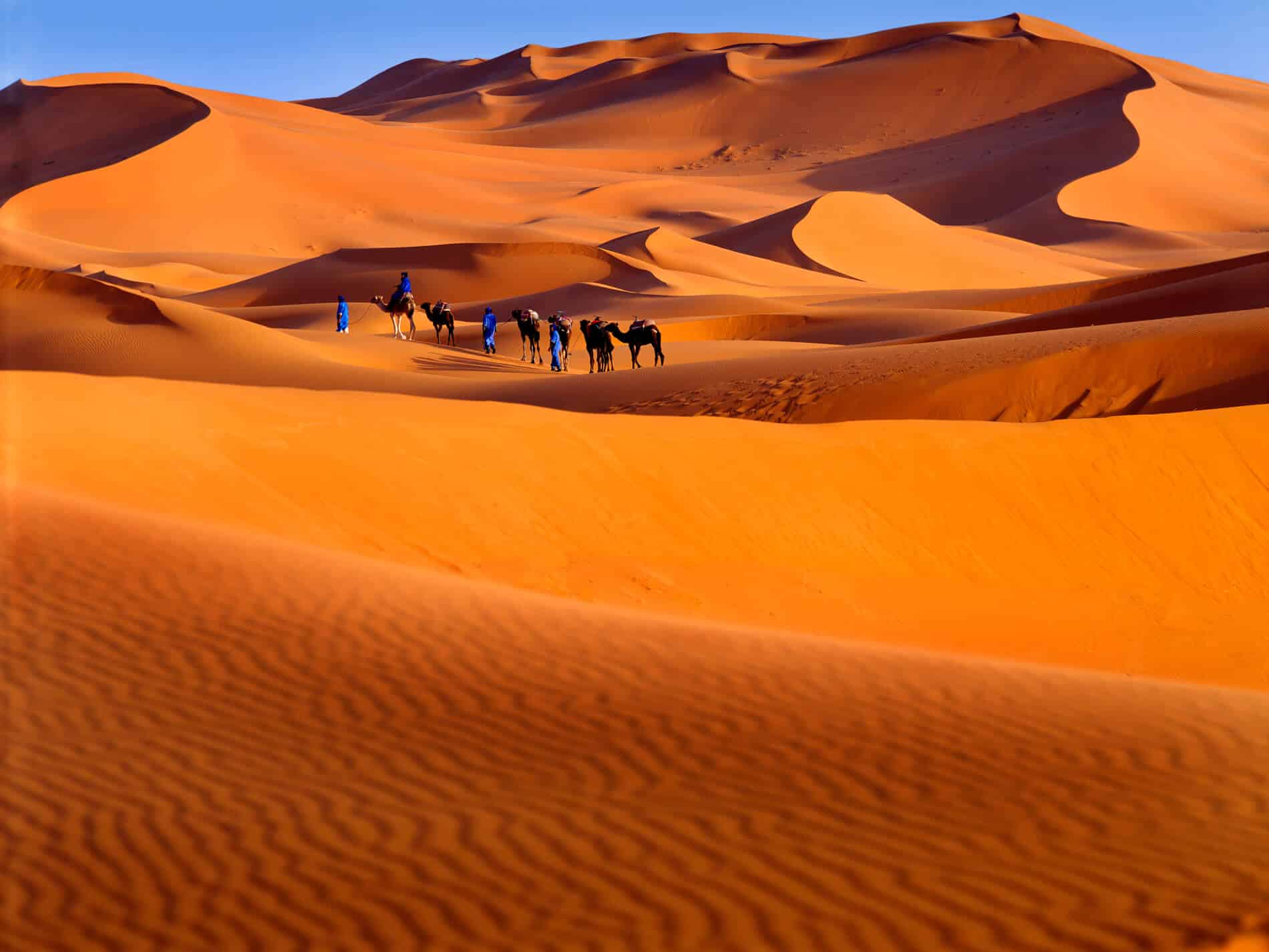 Dunes of the Great Sahara: Stepping into 2026 with Reverence and Hope