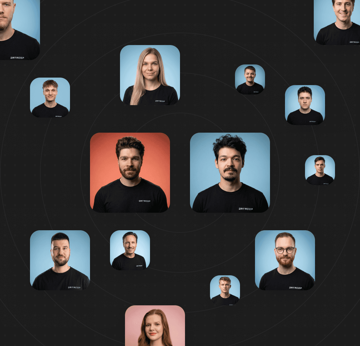 Two co-founders and additional roles in Datacop