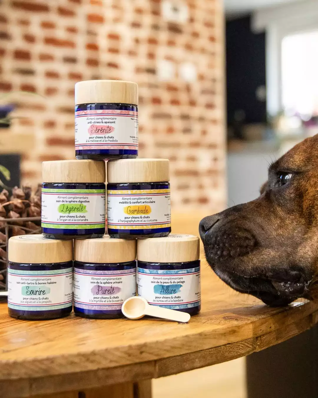 Packaging produits Truffe et Moustache, compléments alimentaires naturels pour chiens et chats