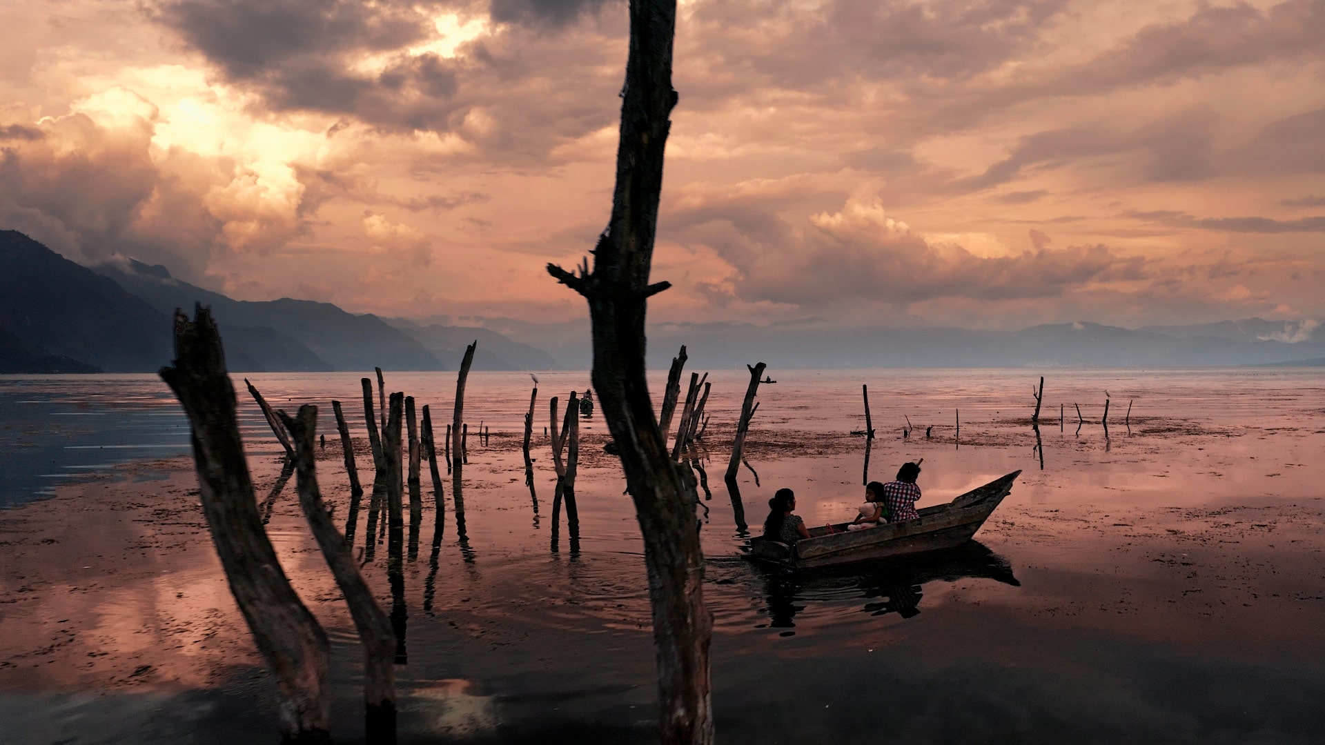 Front cover image for a short film by Nomo called Osita which shows an old rowboat rowing in a lake.