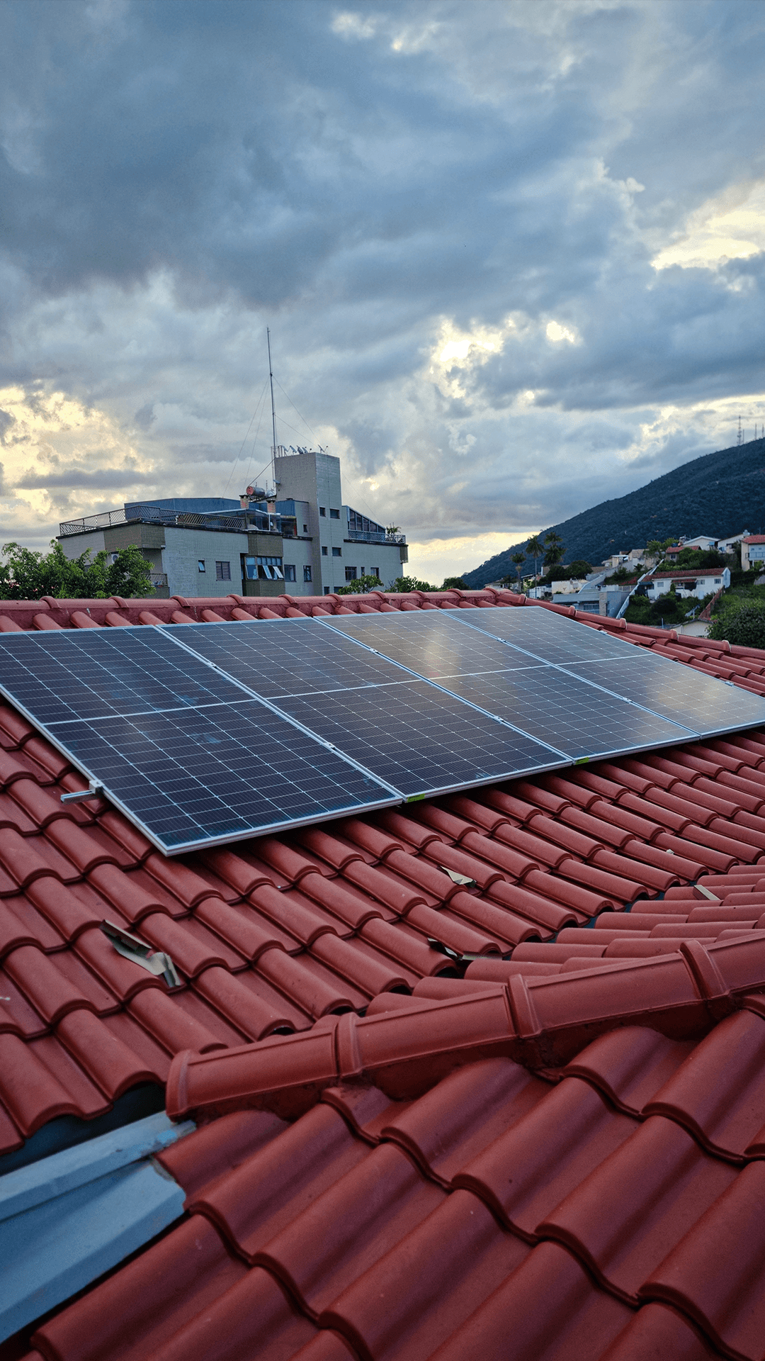 Close-up of a dark green leaf showing its textured surface and central vein against a muted background.