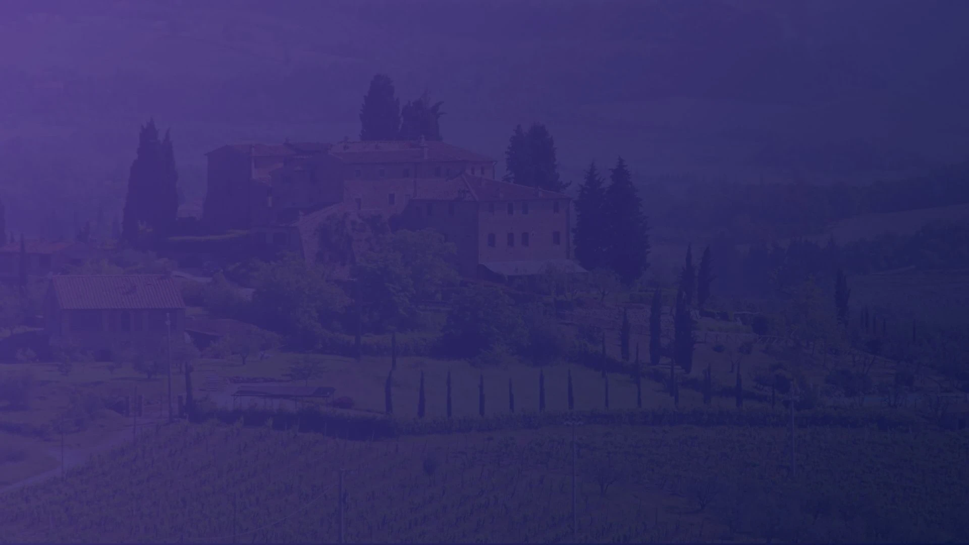 Italian vineyard