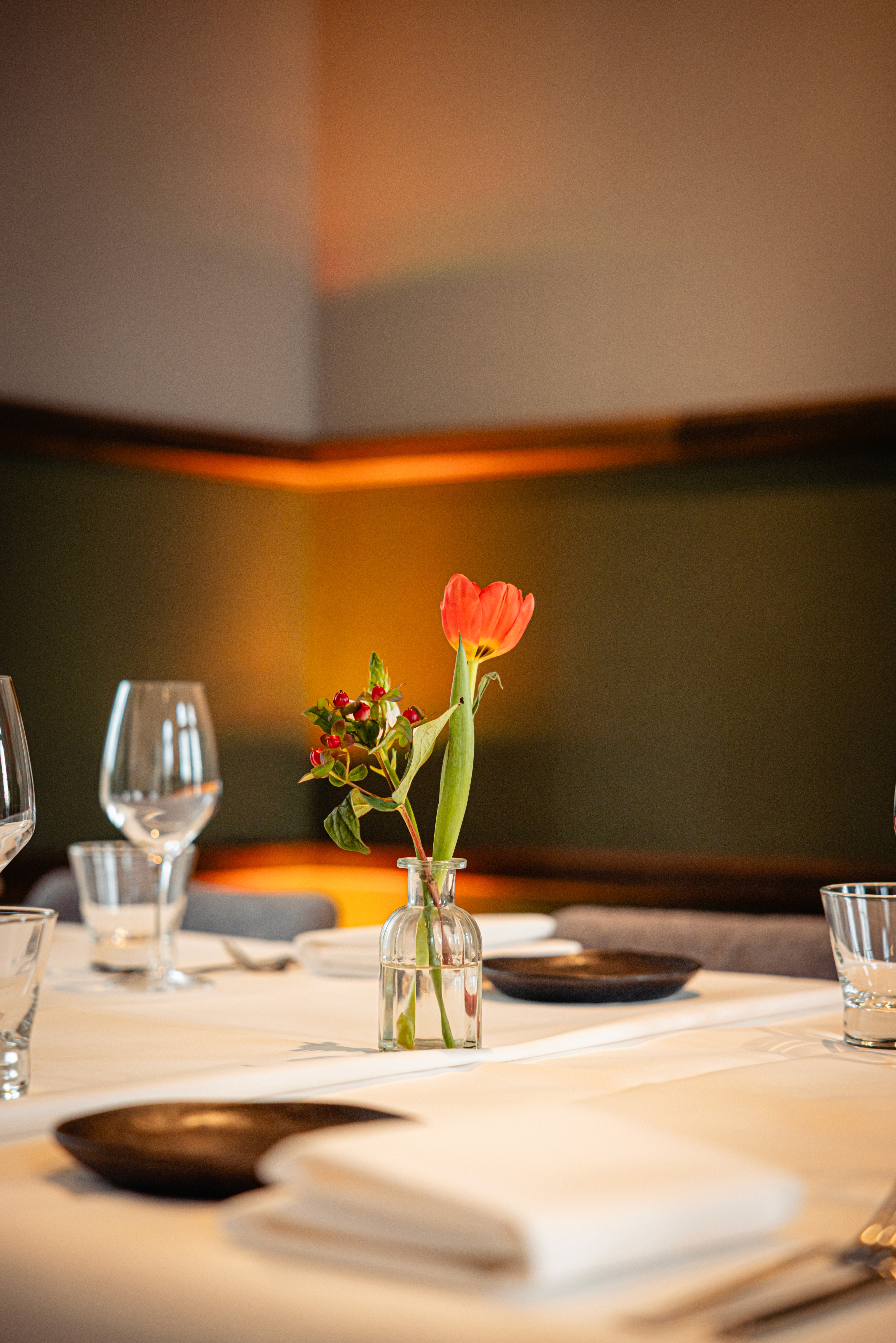 creative cocktail creation