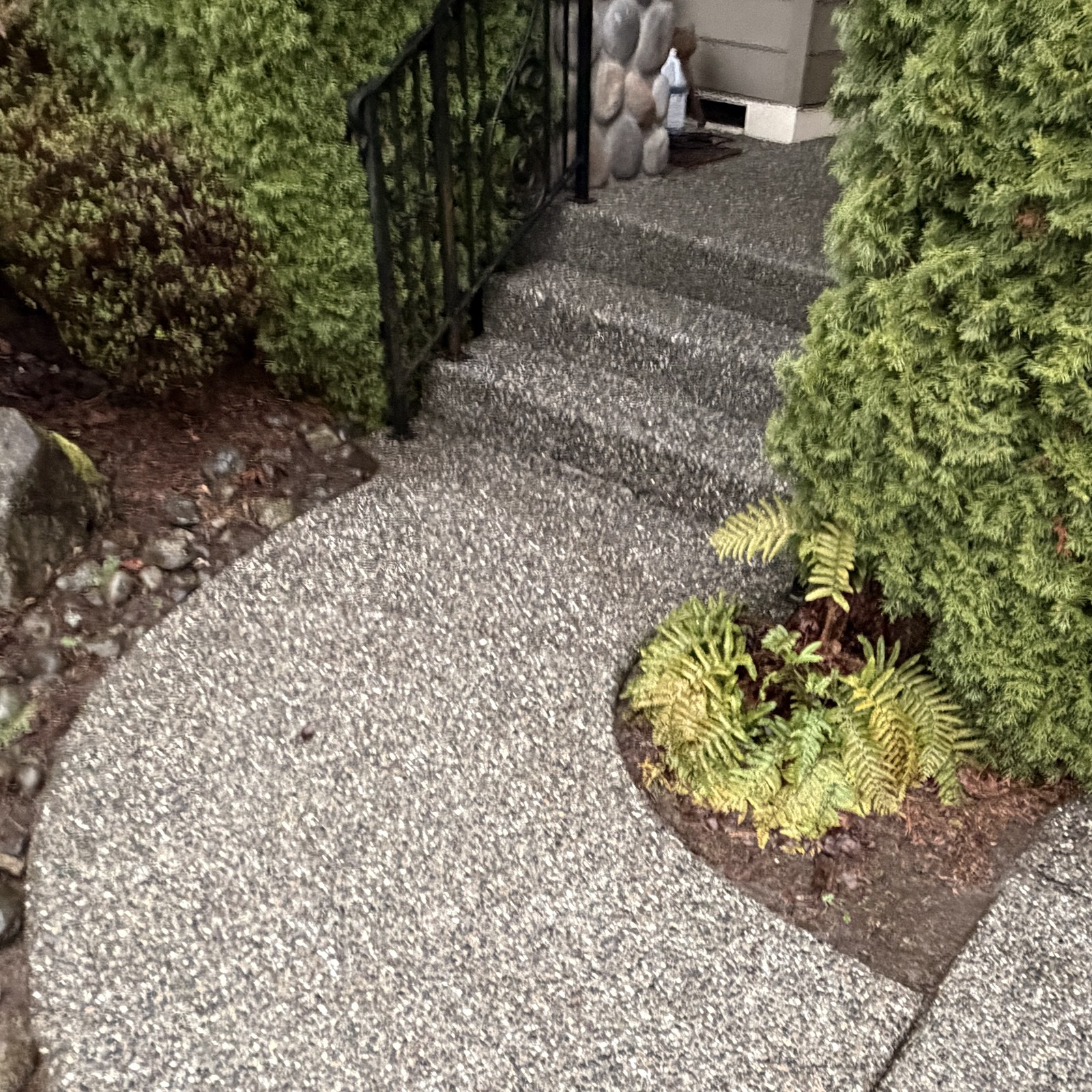 After: garden walkway pressure washing by Peterson Property Services in Bothell, WA