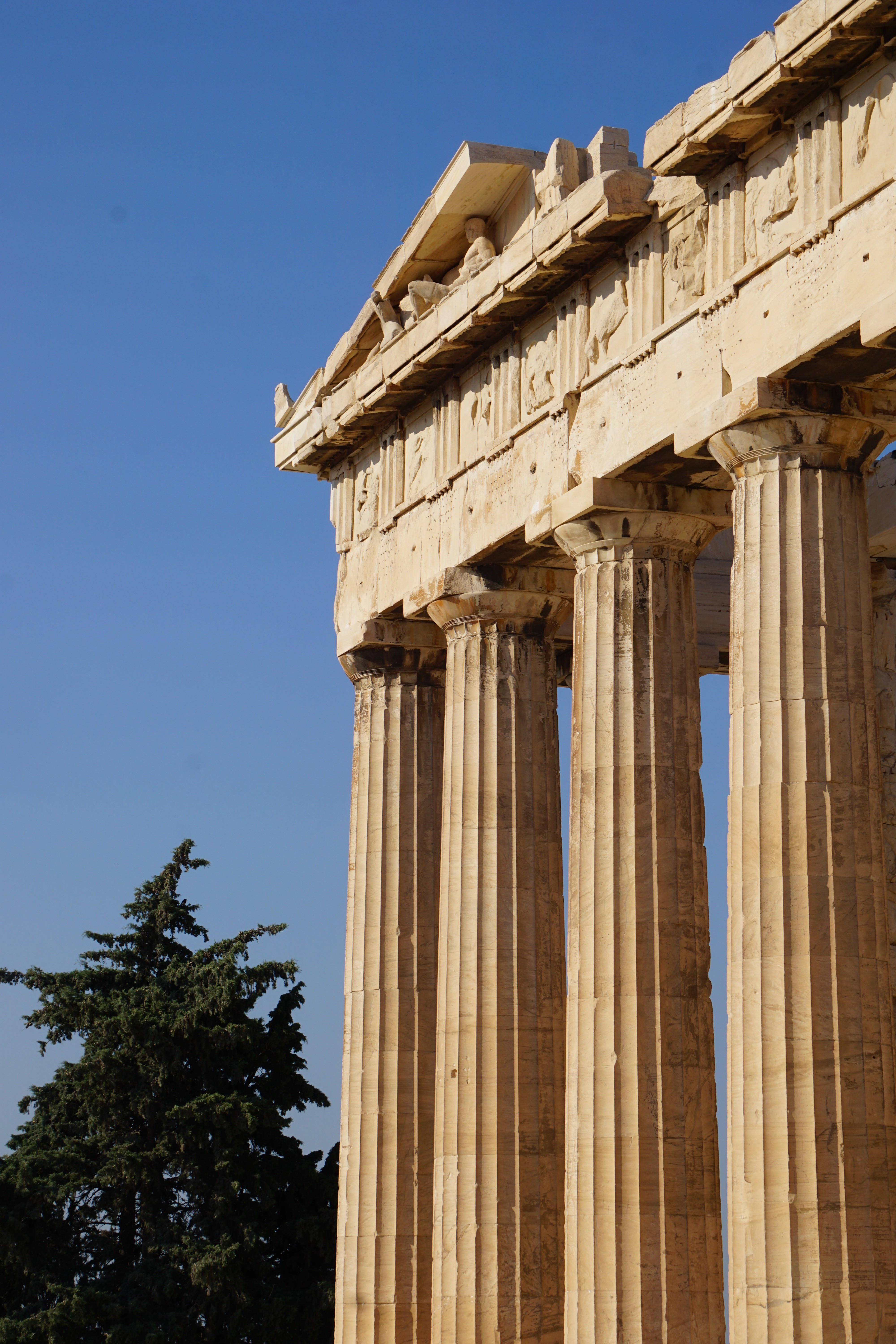 Women On Neon Background