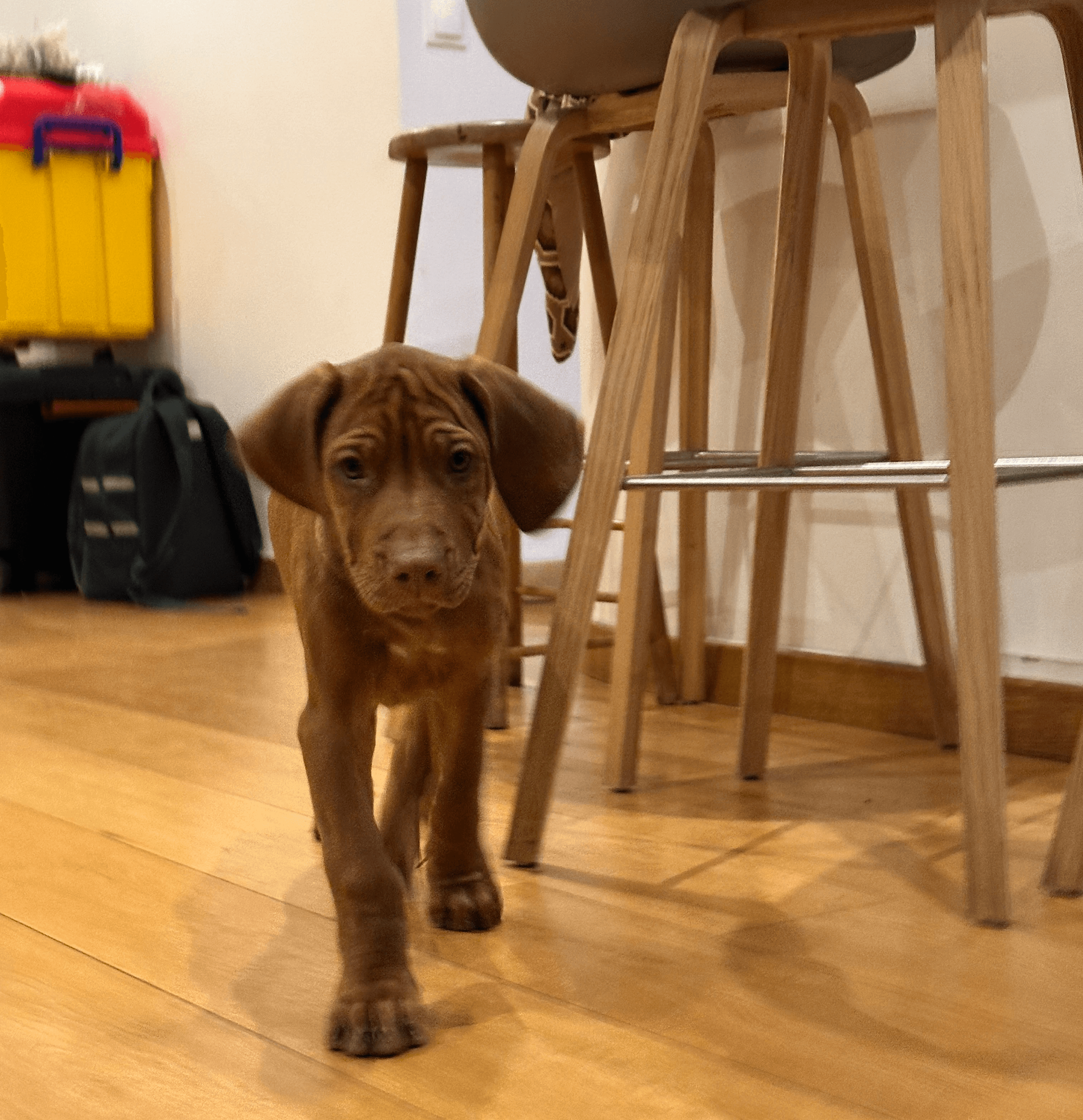 Una&Co photo Visite à domicile