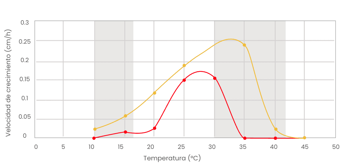 Velocidad de crecimiento a diferentes temperaturas (°C)