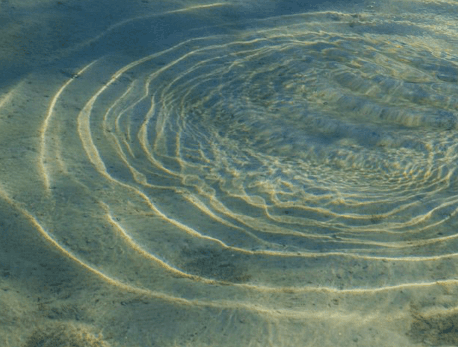 water drop on body of water