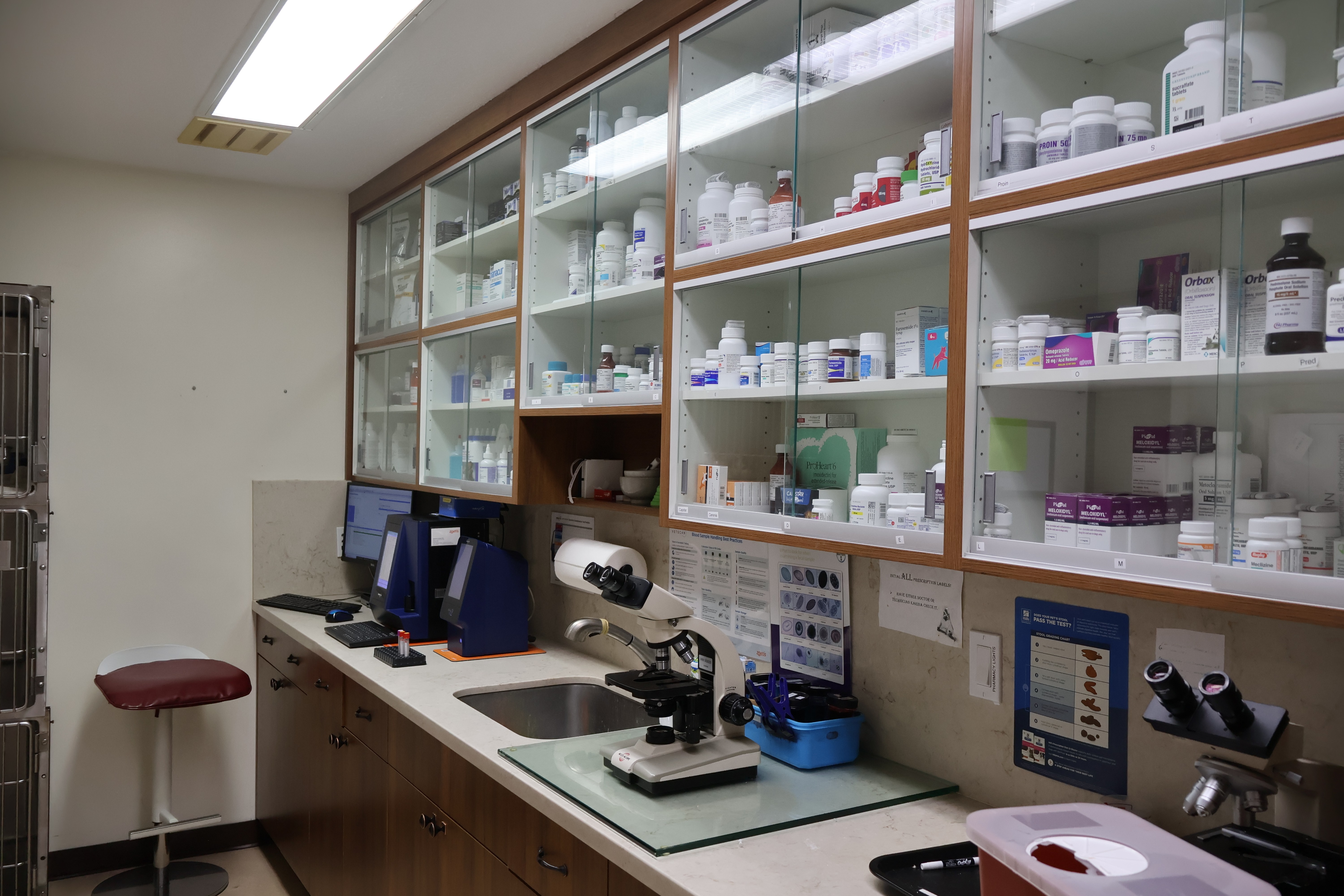 the pharmacy showing glass cabinets on the wall with medicine