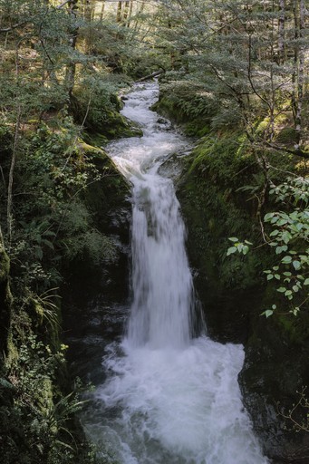Elegant skincare product display at Jade Aesthetics med spa in Wheaton IL showcasing premium beauty and wellness offerings.