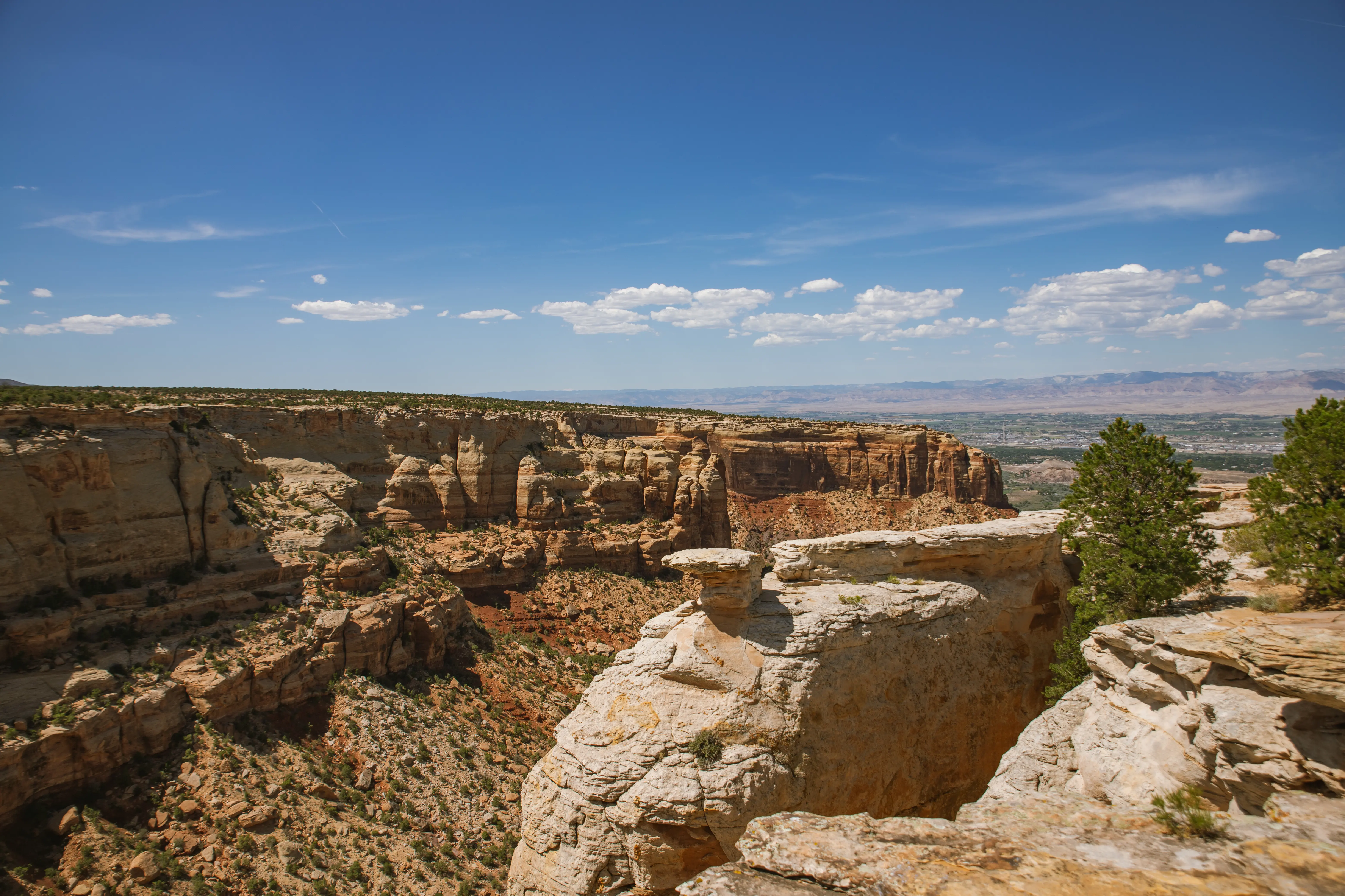 Streetside billboard with flyposters of the Batch.Works brand and illustrations