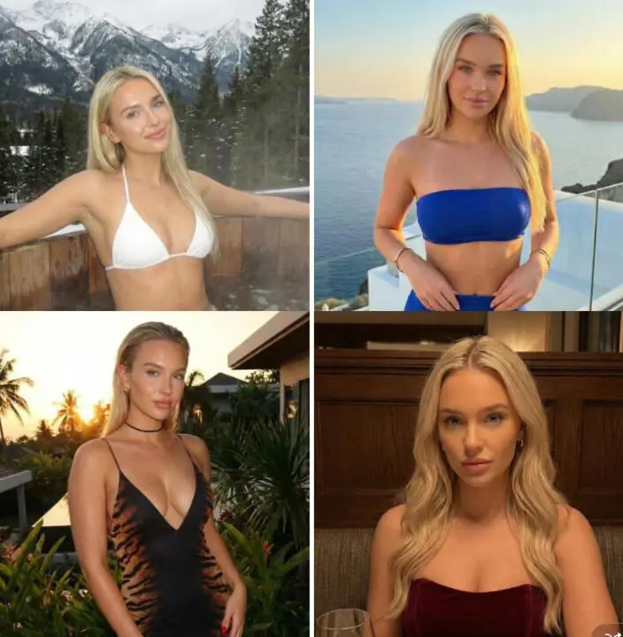 Transform Ideas into various Images, veo 3.1