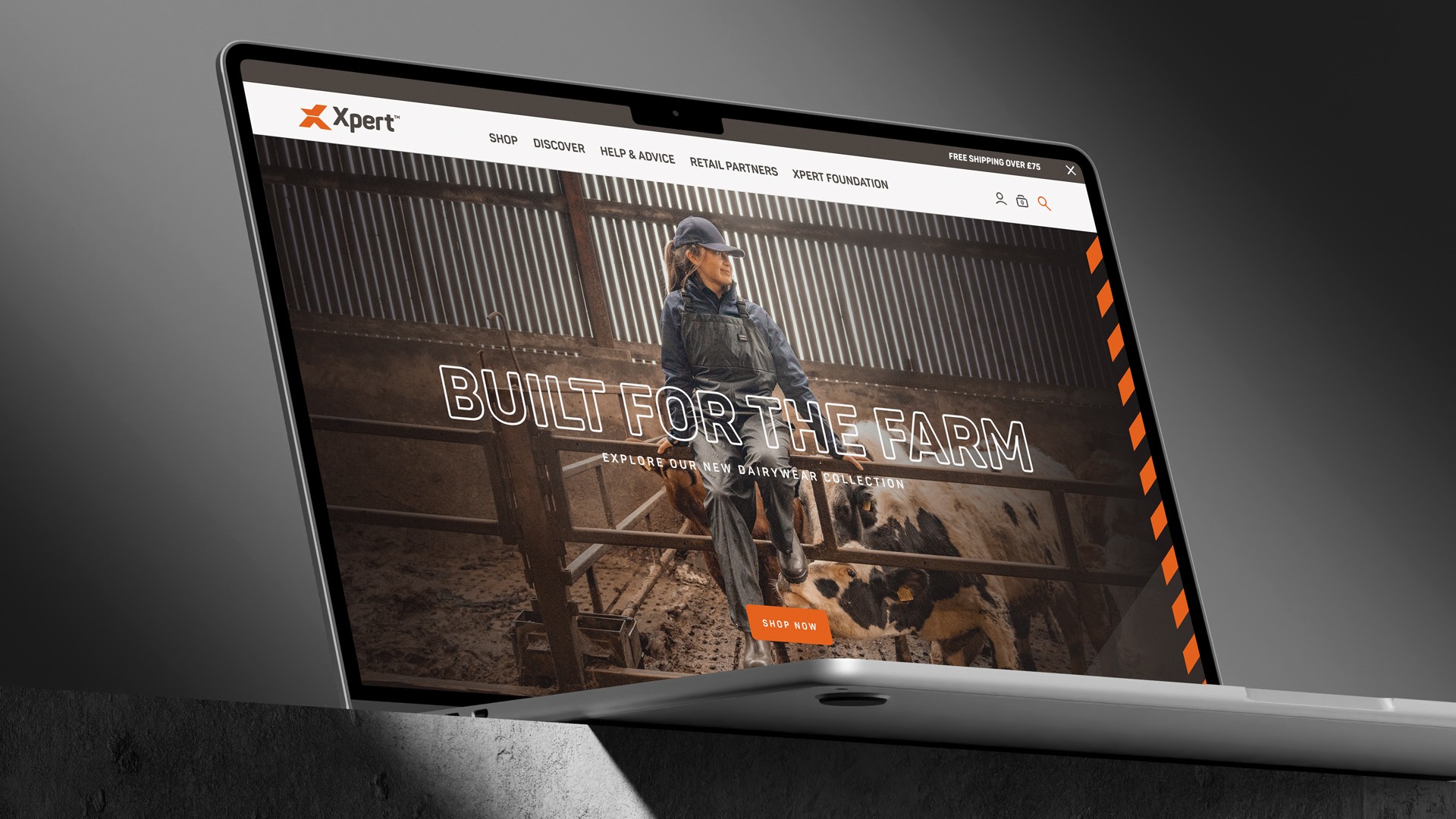 Xpert™ Website Design