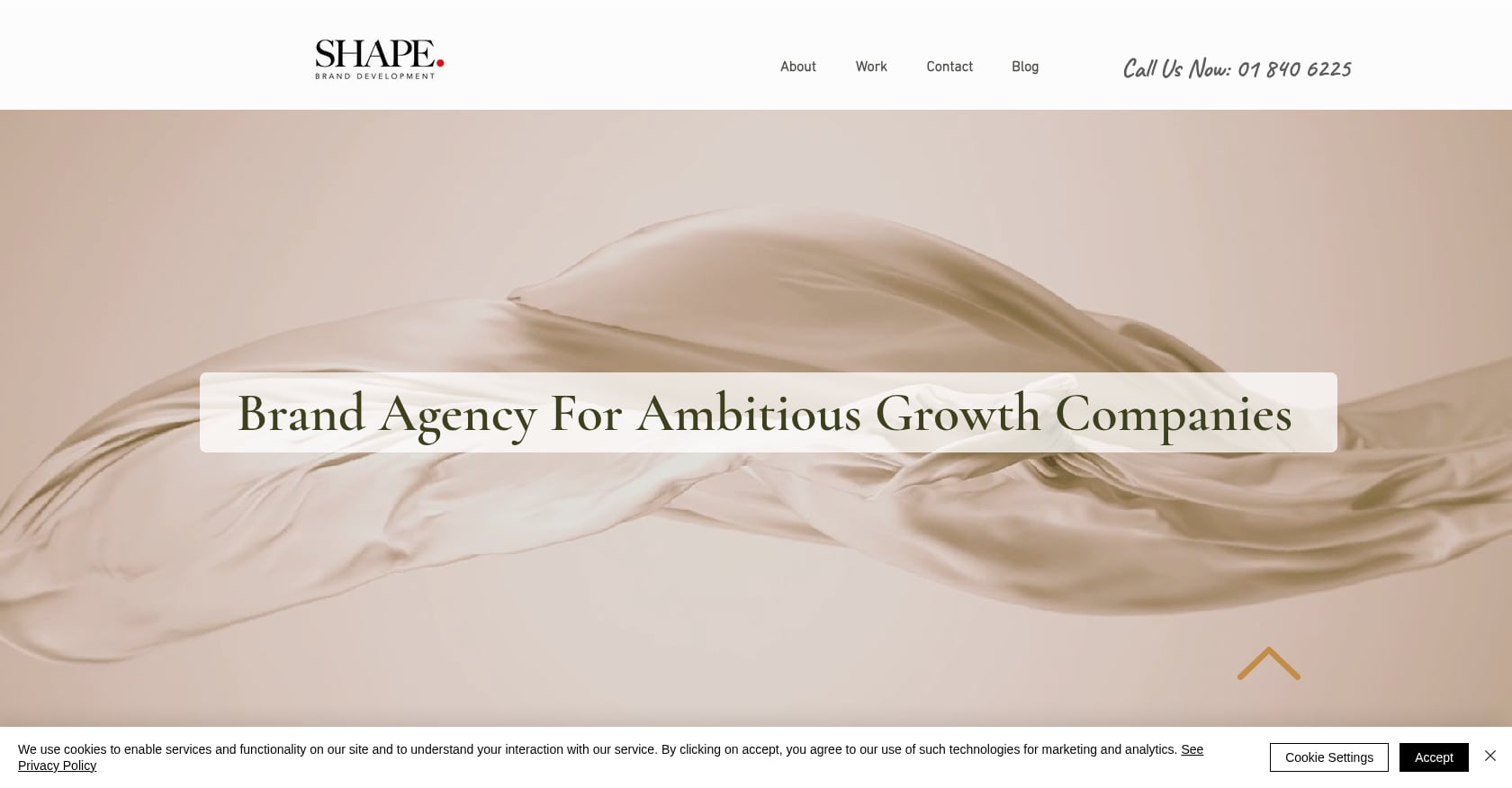 SHAPE Brand Development Screenshot
