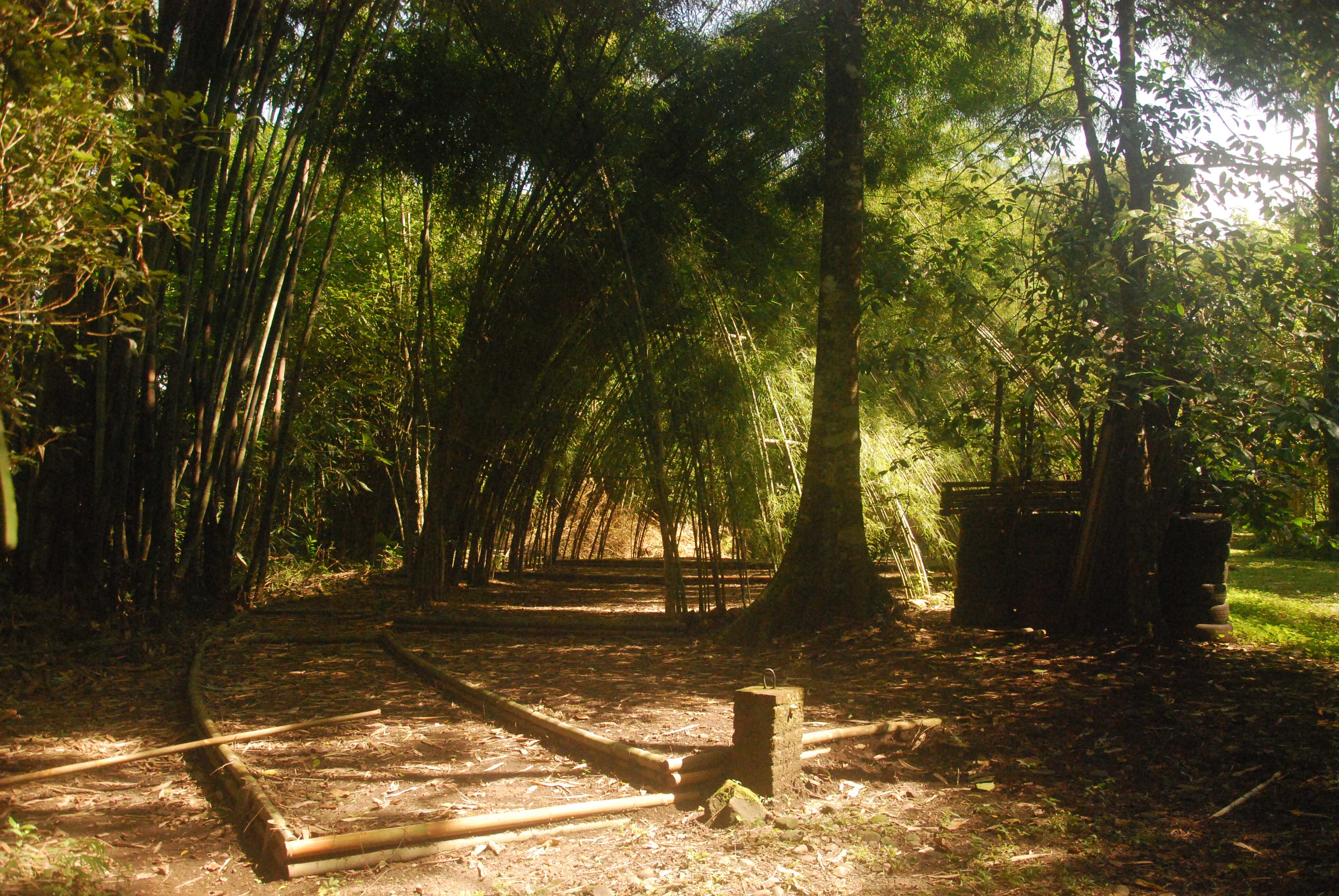 Yin Yang (Split Off / Sigaraning Penggalih) - Ruas Bambu Nusa