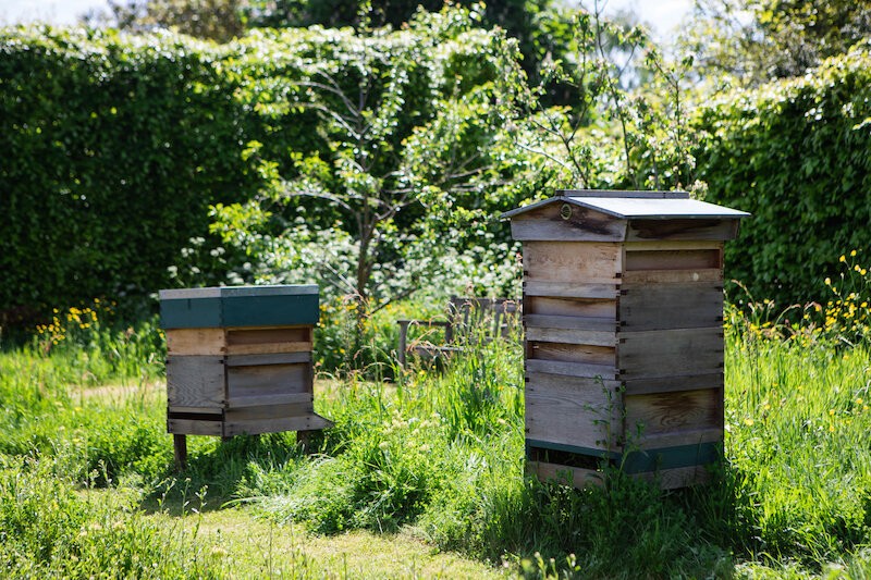 Copyright © Tiffany Lin - www.tiffanylinphotography.com