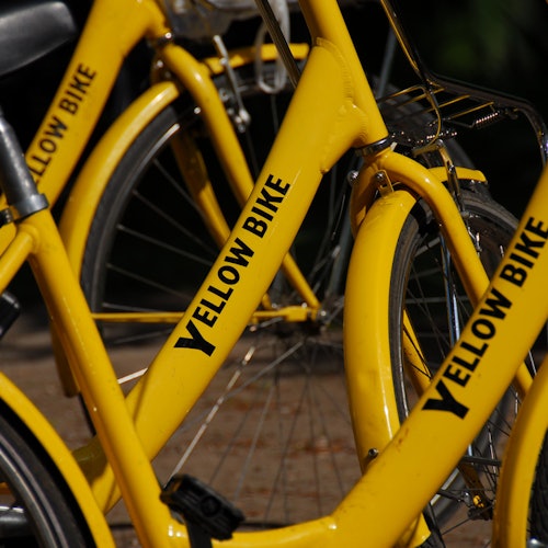 黄色自行车并排停放在一起，车架上用黑色字母写着“黄色自行车”。