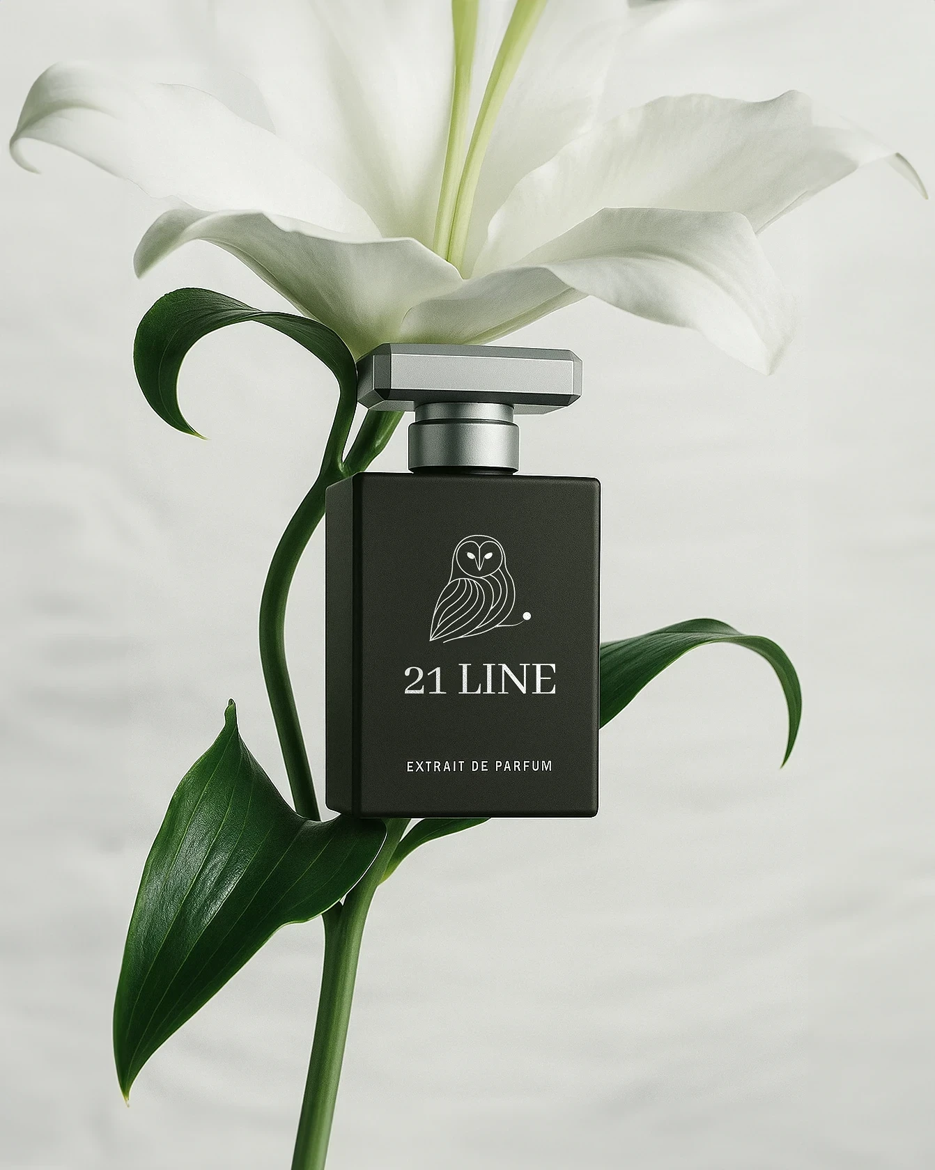 Aglio Picasso framer template