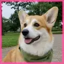 Profilbild von Maya Ortiz für Bewertungen unseres KI-Storyboard-Generator