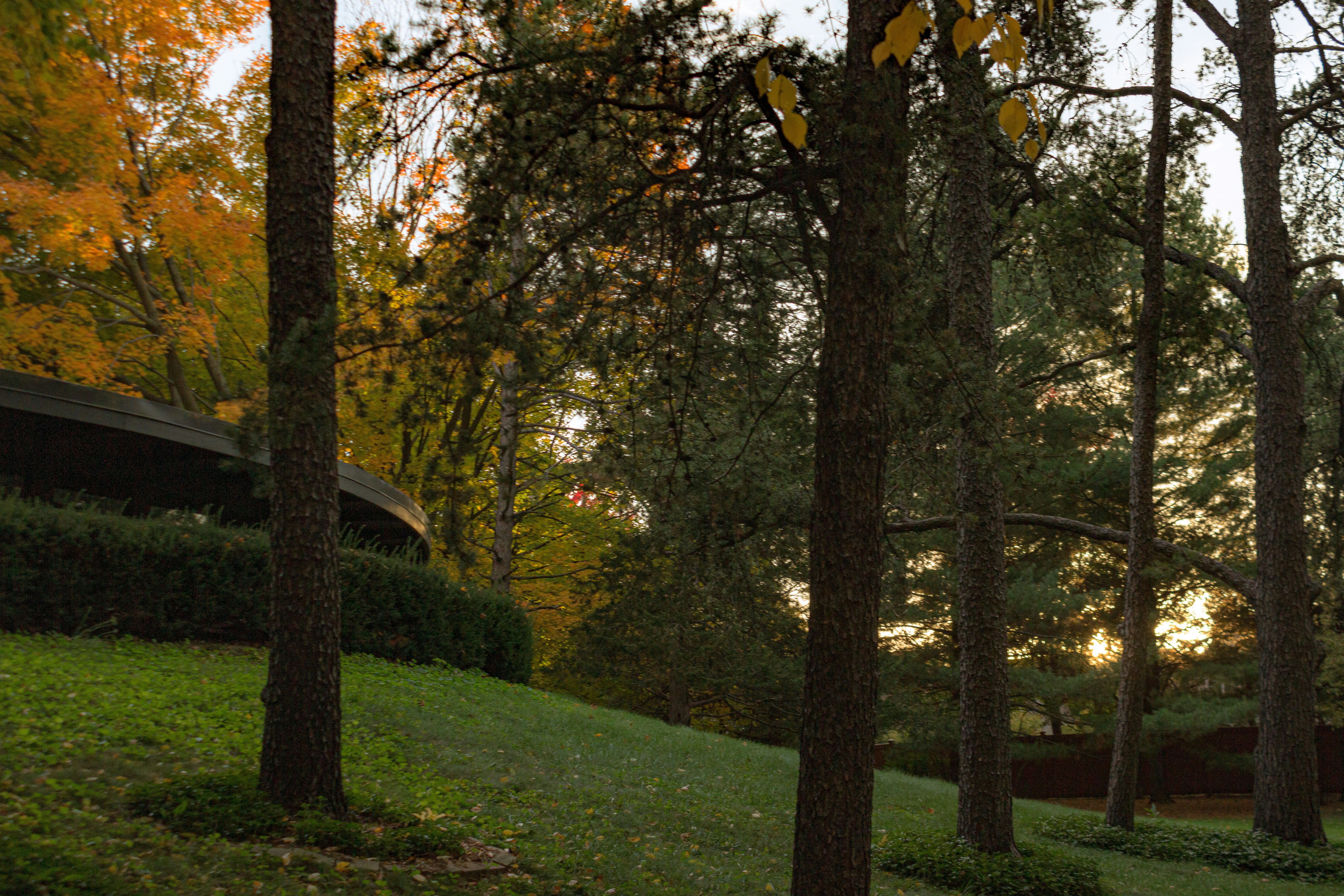 the sun is shining through the trees in the park