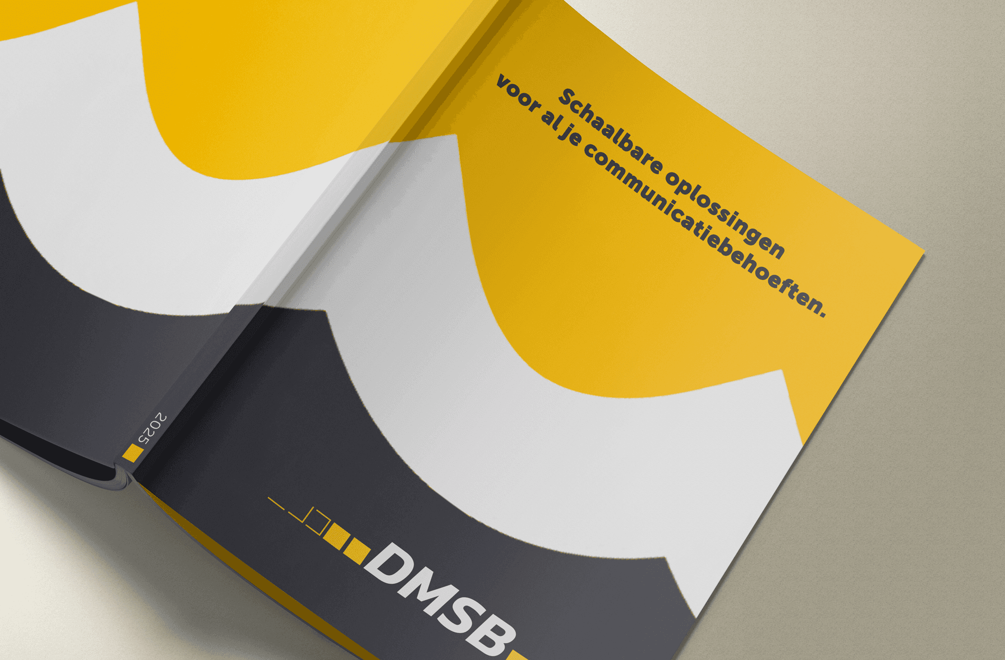 DMSB boek afbeelding