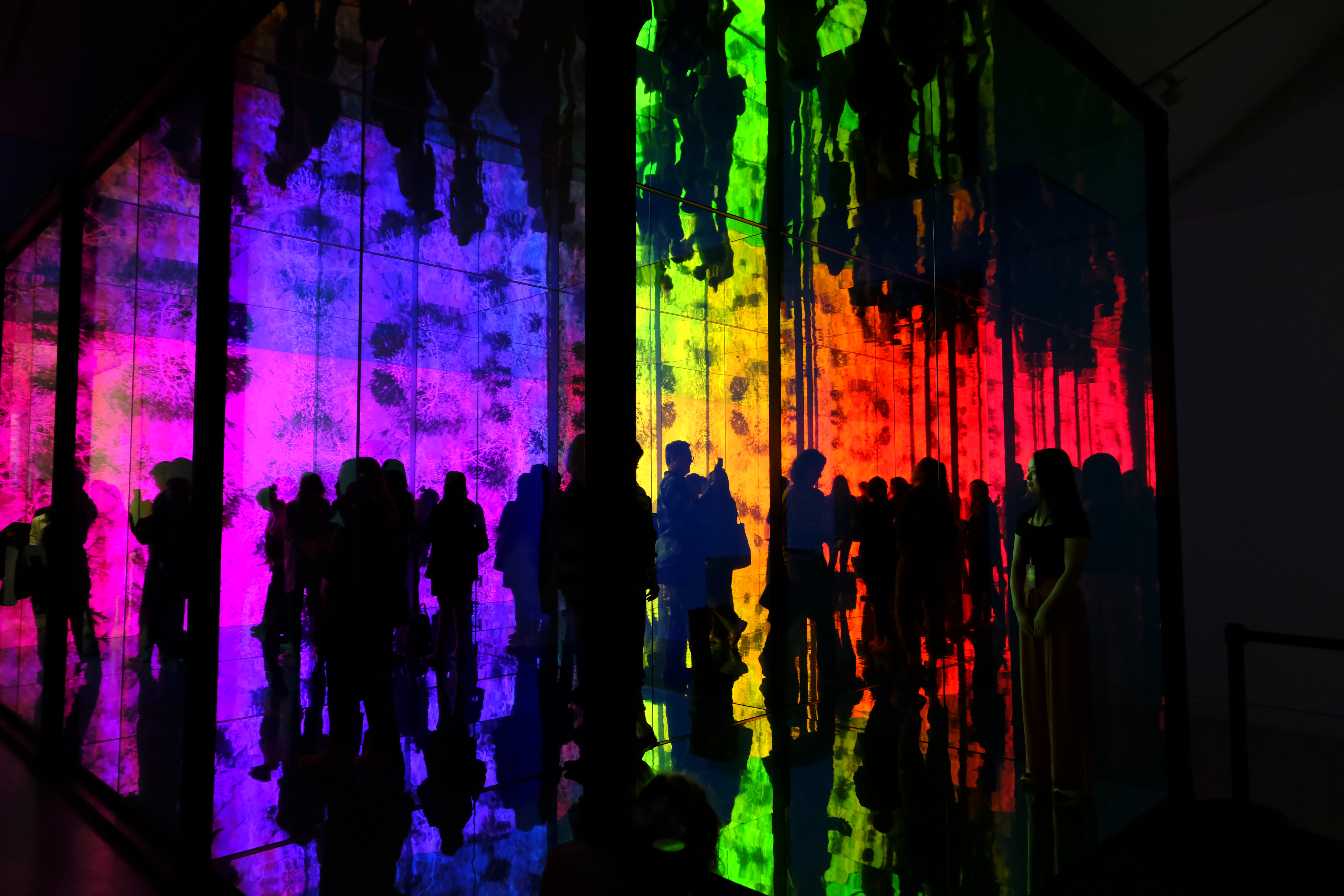 black and white digital device