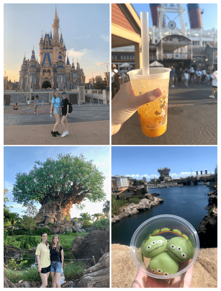 A collage of images of me at theme parks.