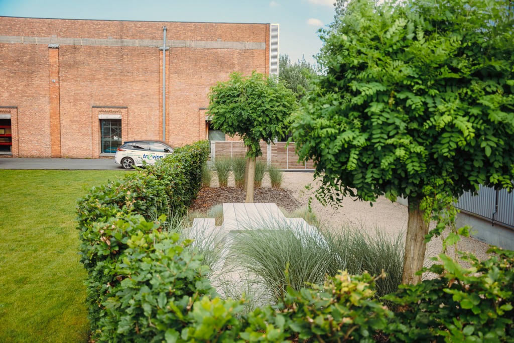 Een prachtige tuin bekleedt met rozen en andere soort bloemen en bladen