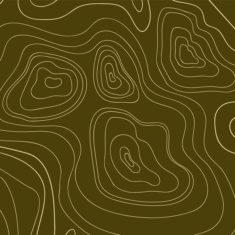 Topographic lines