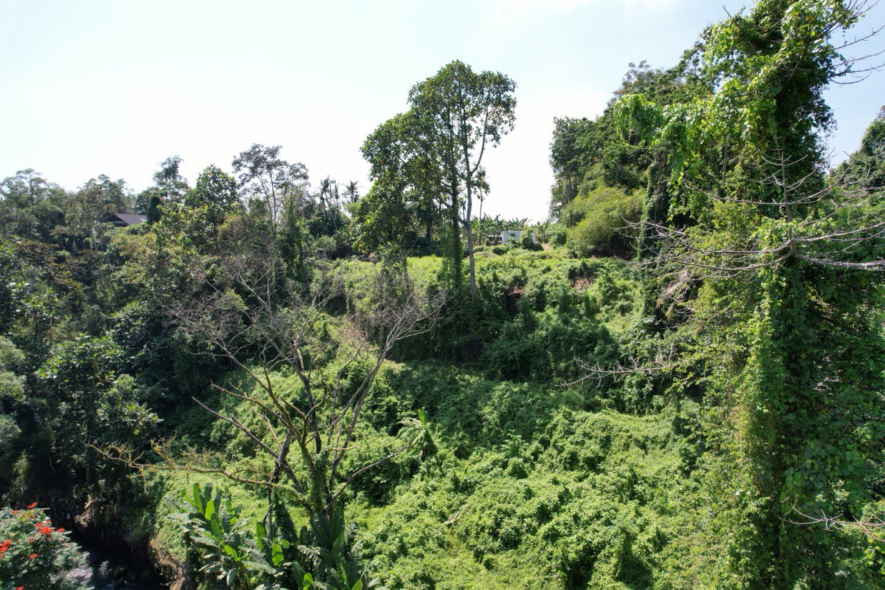3700 m² Freehold land plot with canyon in Tabanan, Kaba Kaba
