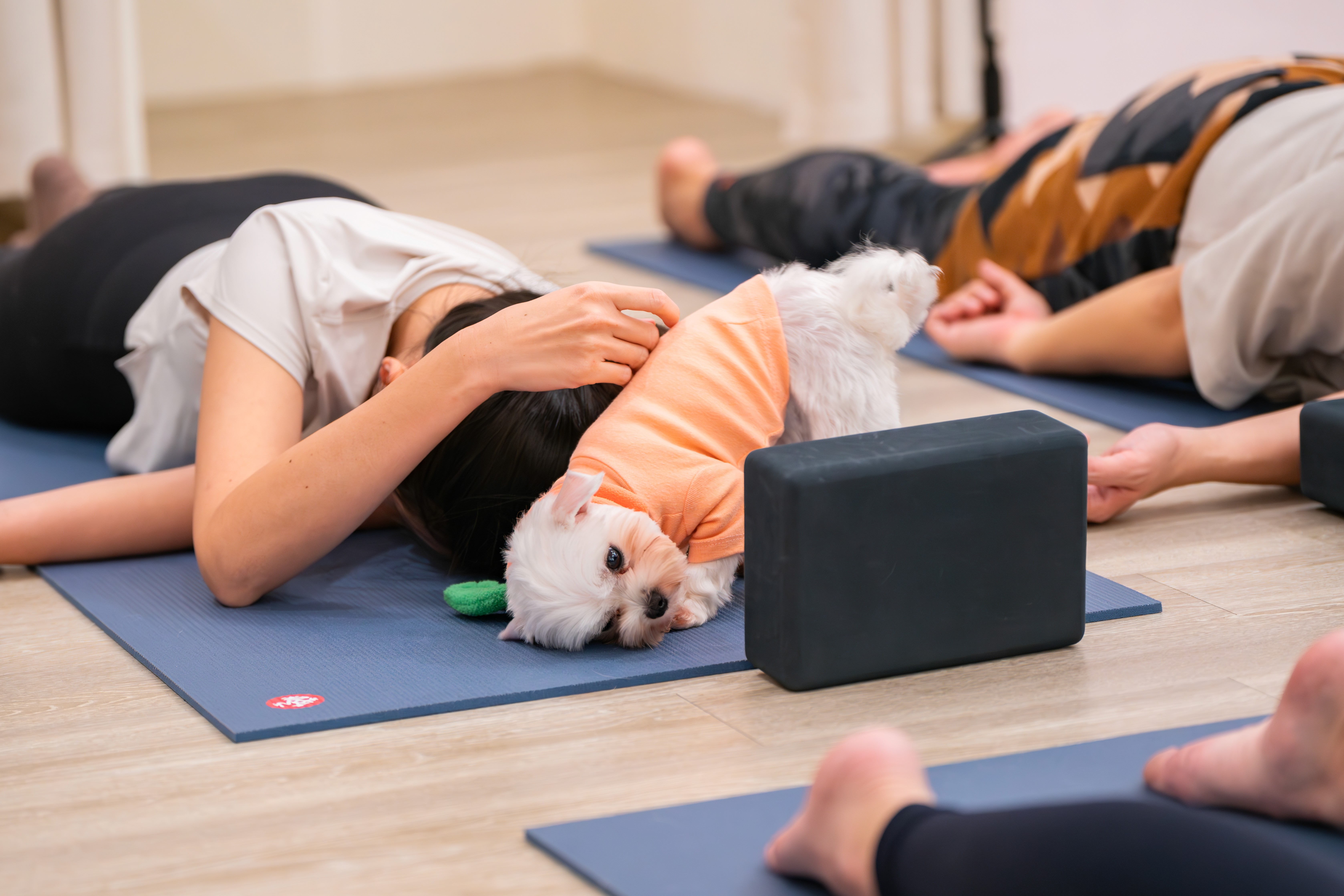 image of a gymnast striking a pose