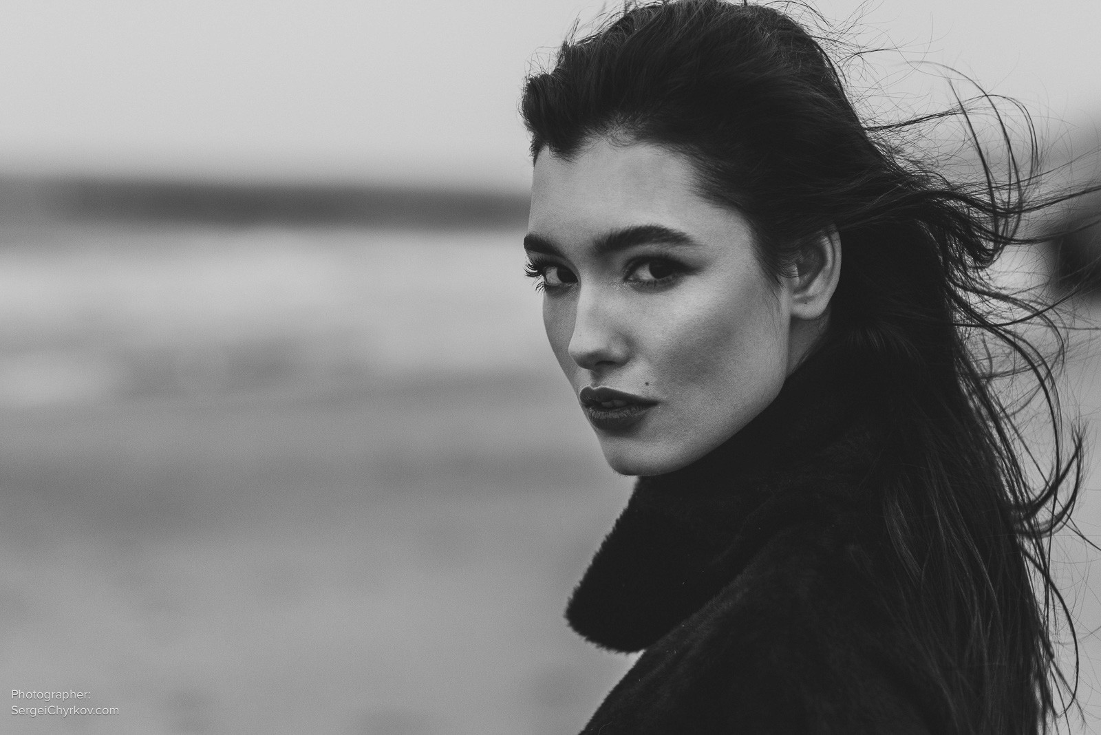 Seagulls by Sergei Chyrkov