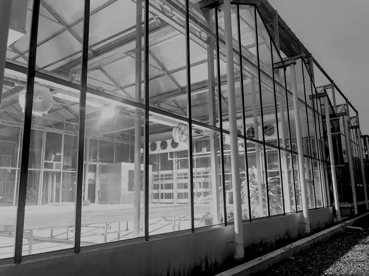 Greenhouse glass walls showing inside