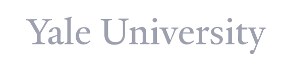 Noty.ai - Meeting AI Assistant getting work done