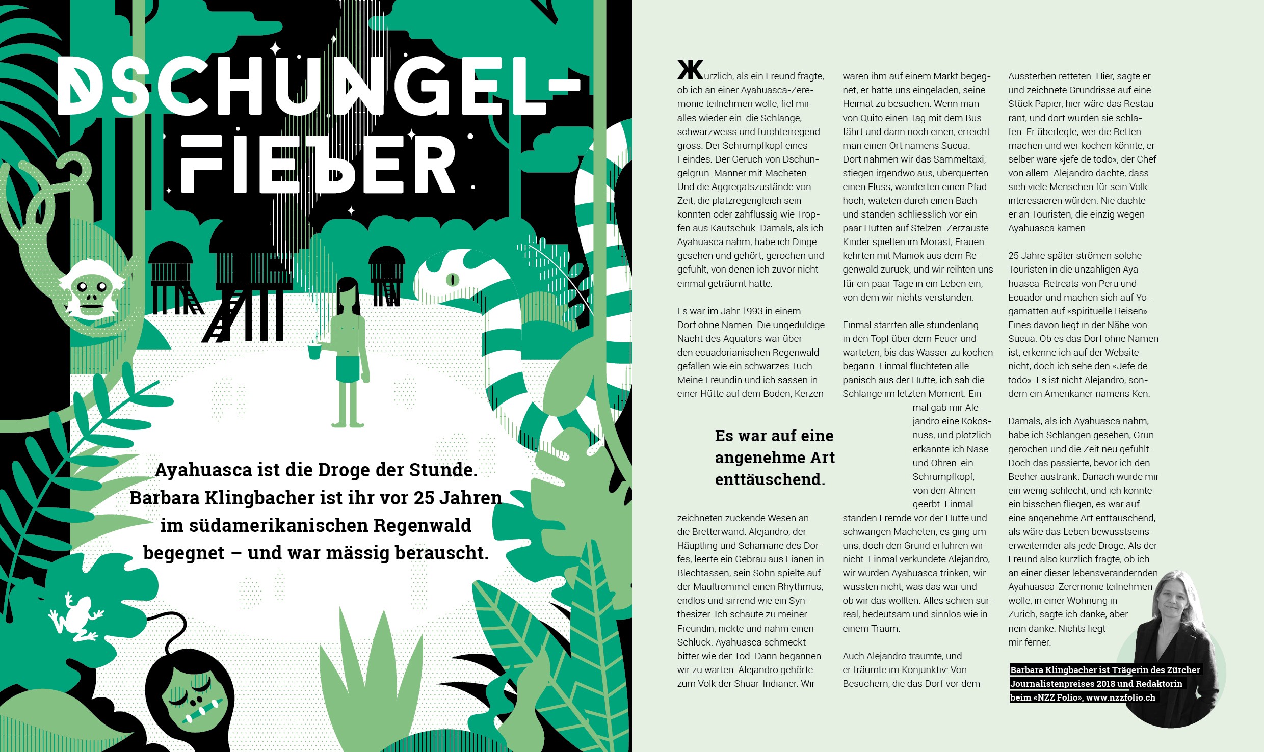 Magazine illustration for an article about Ayahuasca. It shows the jungle and house in the middle with a man standing in front of it. All vector style with minimum color and patterns used.