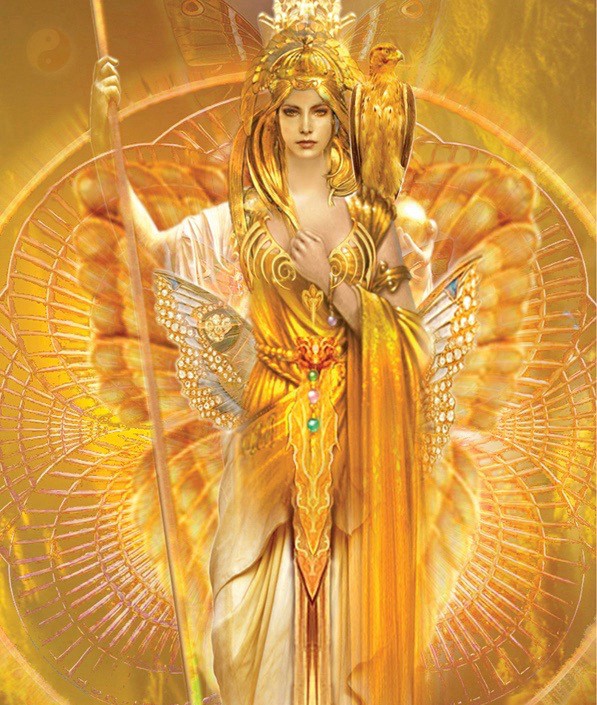 pink flowers on body of water