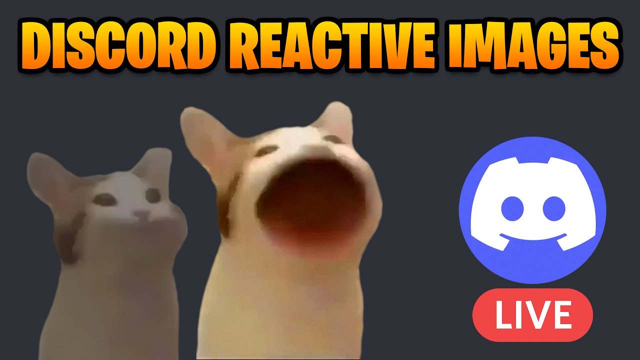 discord reactive image