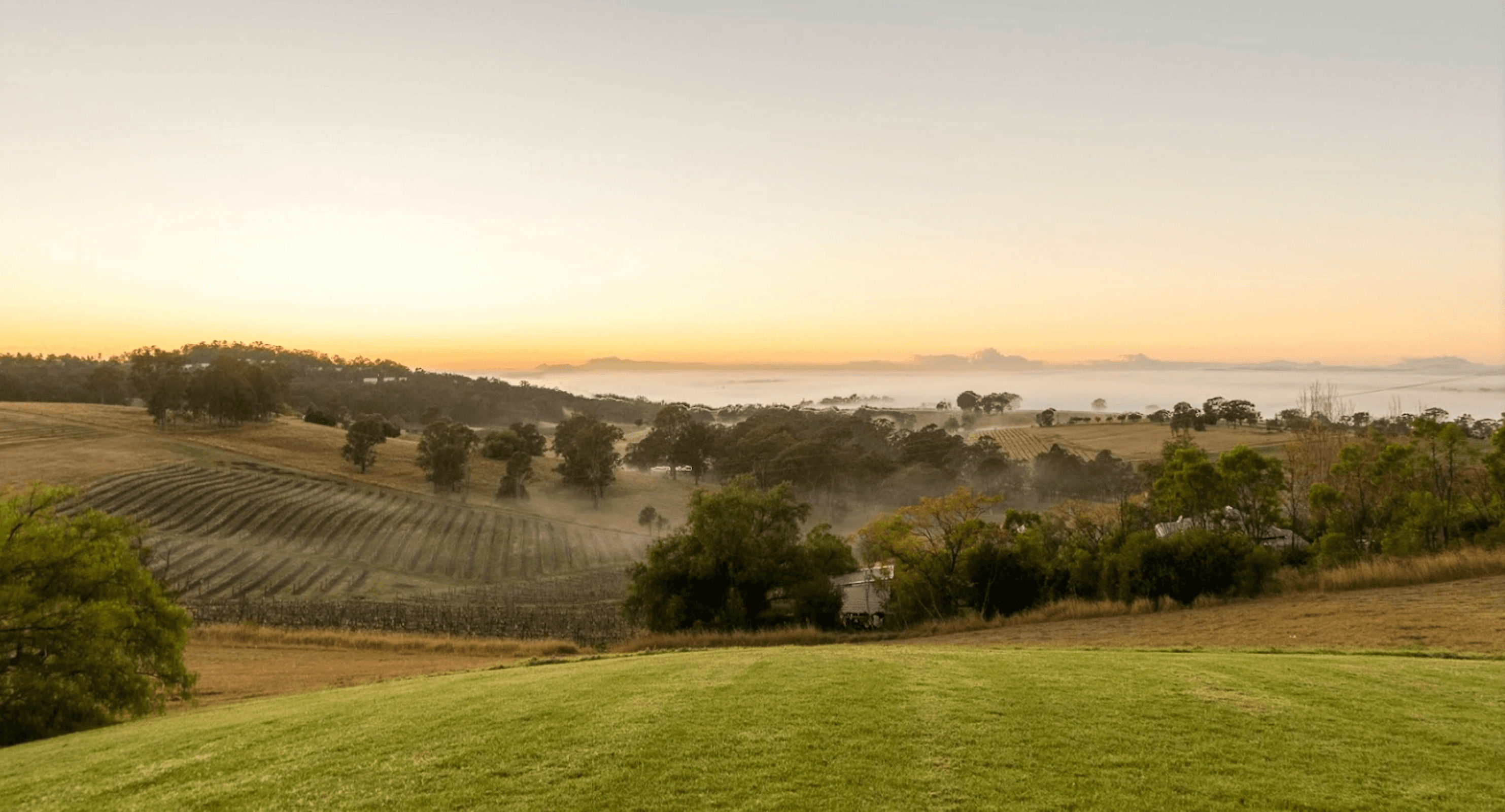 Audrey Wilkinson Winery Hunter Valley