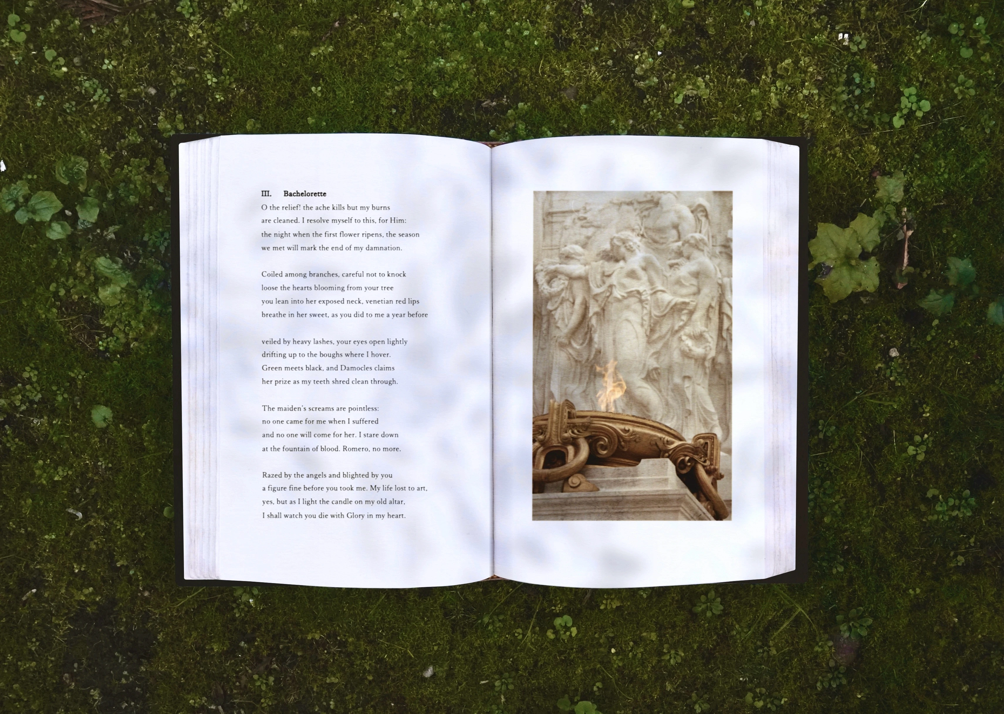 mossy flatlay of 'petrichoric', original poem and film photo