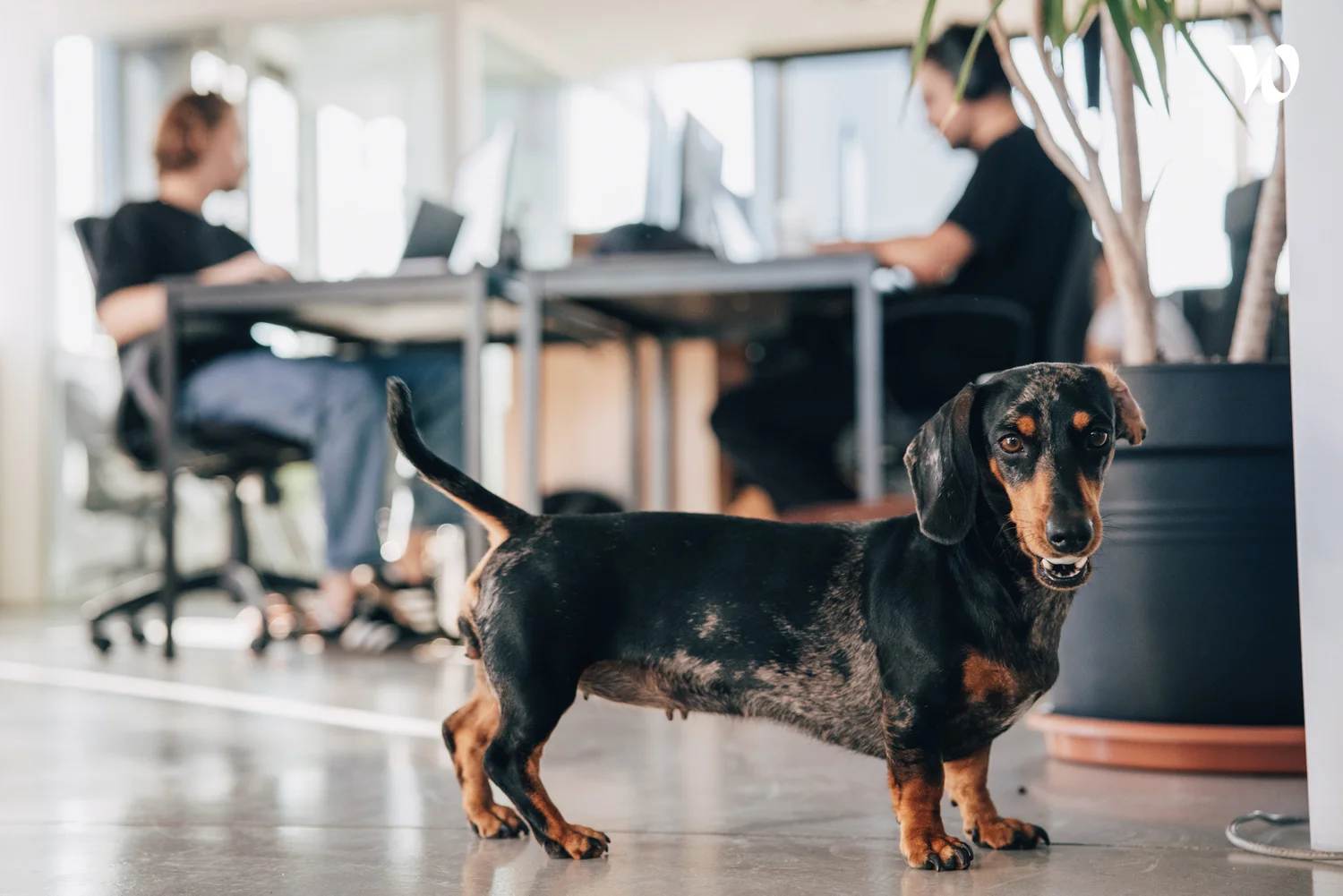 Three people sitting on a couch in a room looking at mobile devices
