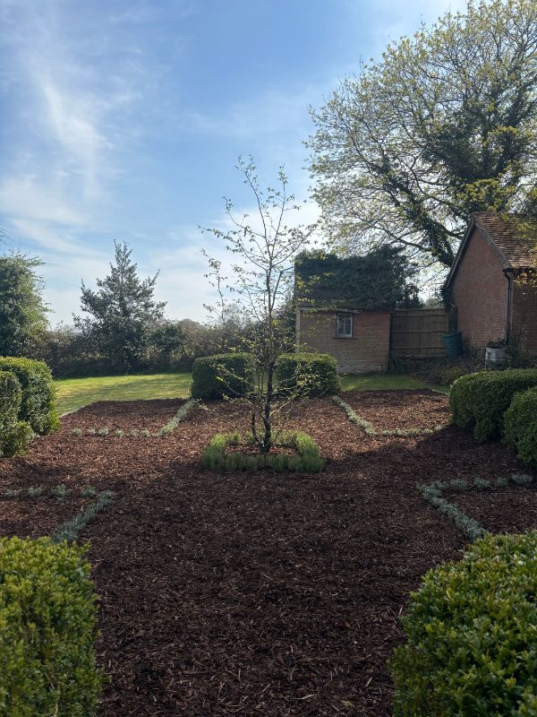 Formal garden design in Marlow featuring symmetrical square planting beds with fresh mulch and central specimen trees.