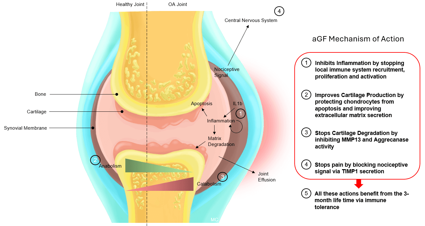 image of a scientist observing a sample