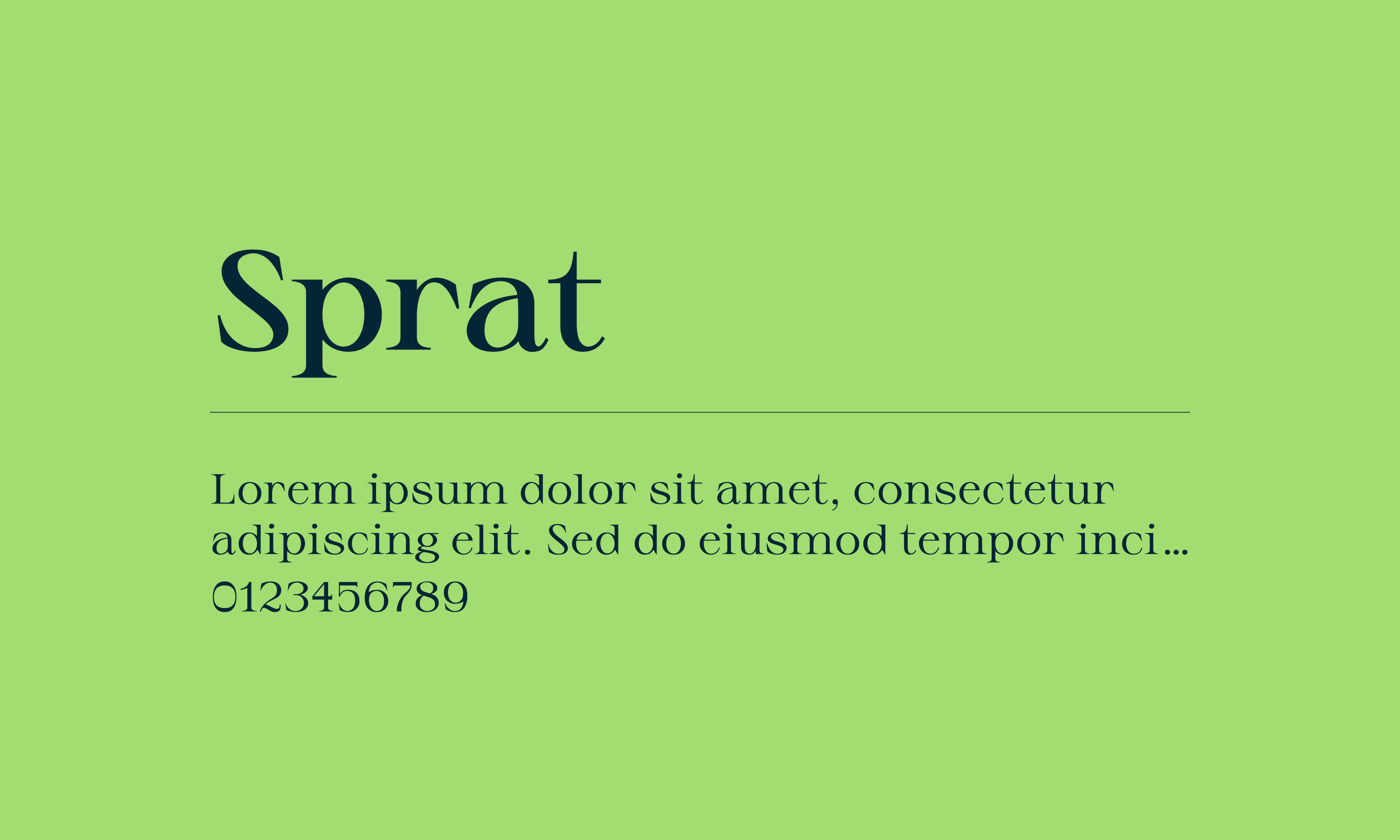 Sprat