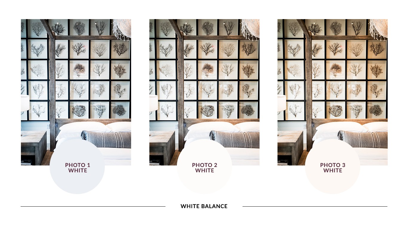   Here is the same photo with different color temperature white balance. The circles below the photo shows what 