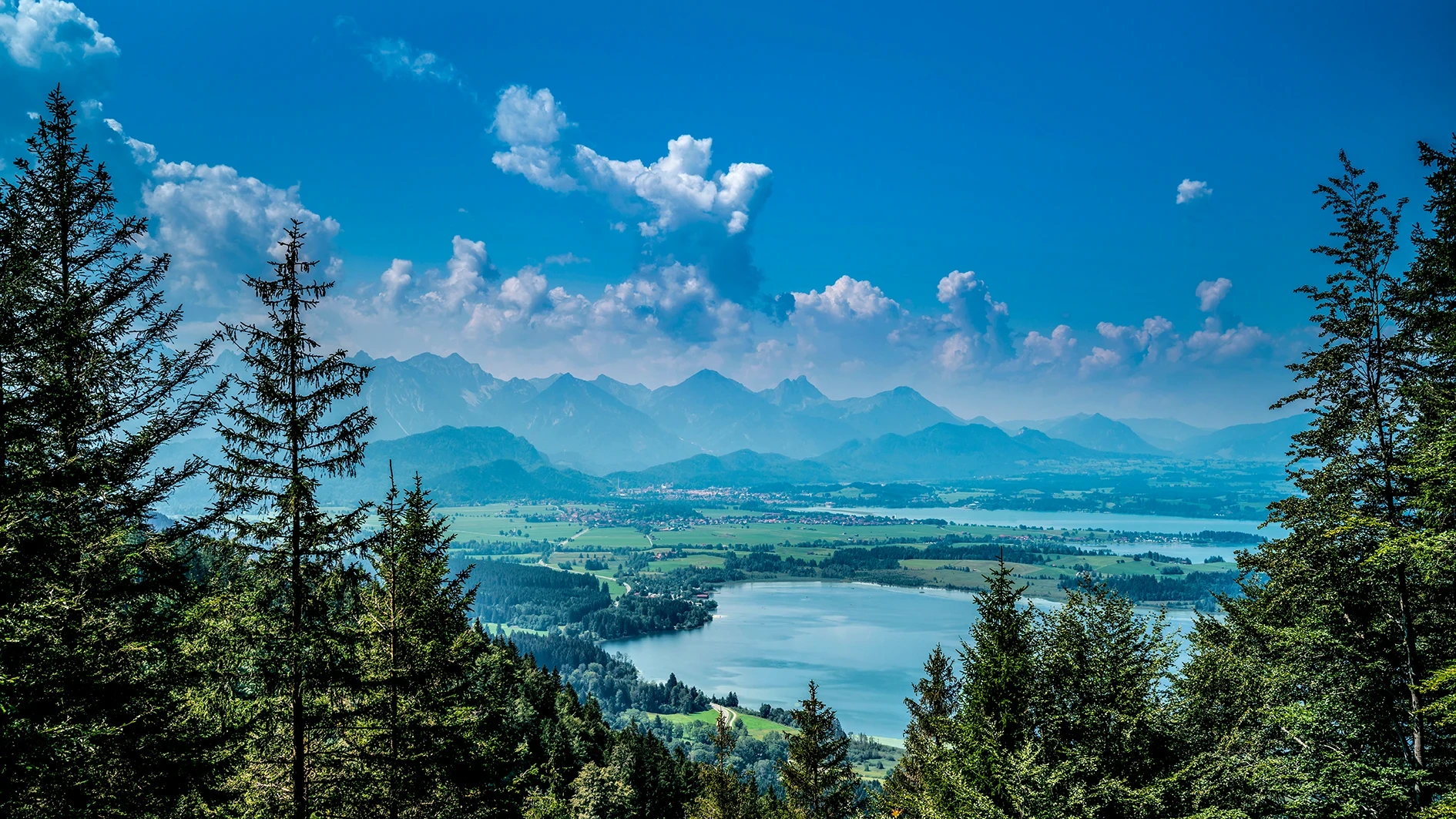 Blick auf den Bannwaldsee und die Allgäuer Berglandschaft