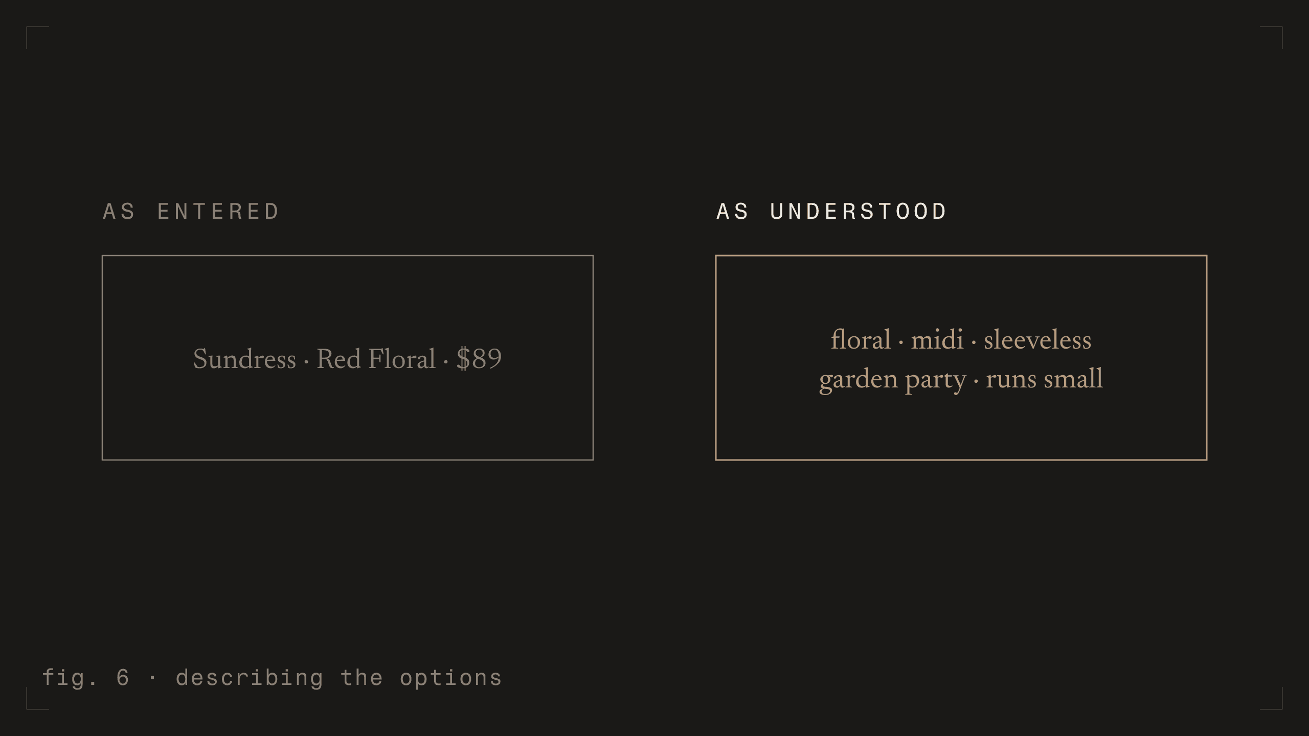 fig. 6 - describing the options [dark]