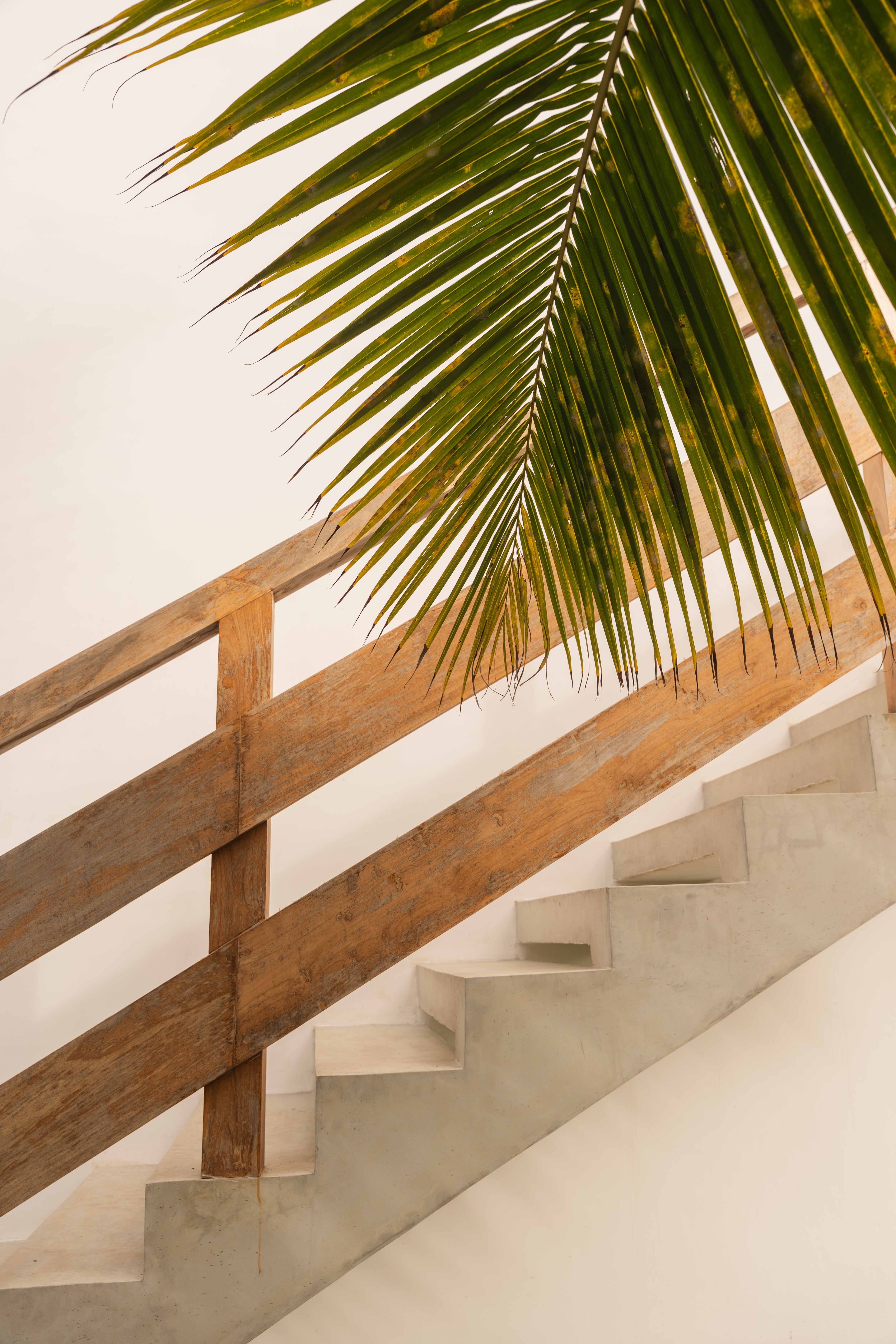 Skater boy showing his tricks with palms in the back