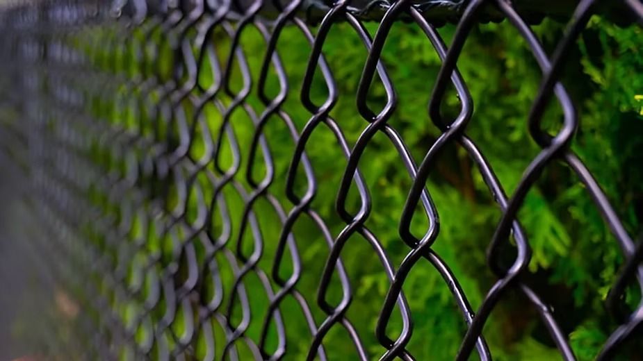 Chain Link Fencing.jpeg