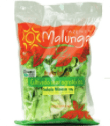 Foto de Salada Mimosa